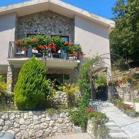 Dado Appartement Virpazar Buitenkant foto