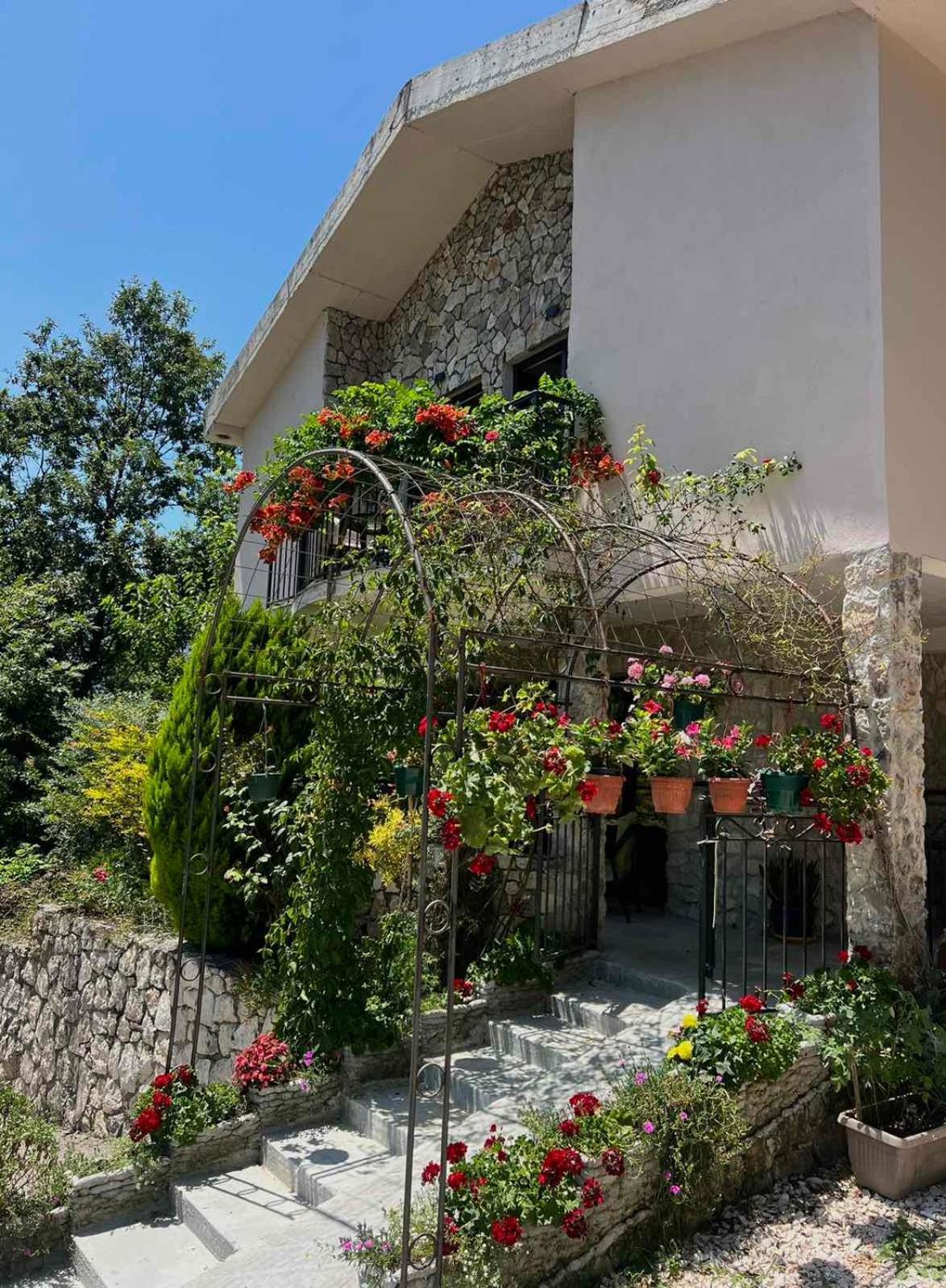 Dado Appartement Virpazar Buitenkant foto